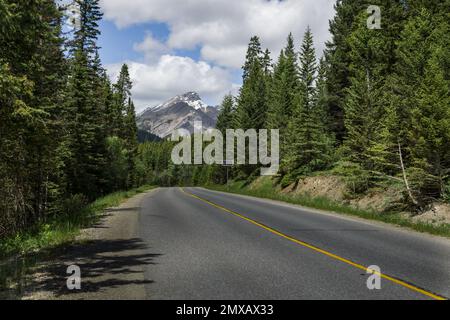 Gekrümmte, leere Landstraße durch Wälder und grüne Berge im Sommer. Asphaltstraßen und Berge unter dem blauen Himmel. Stockfoto