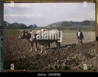 Saint-Macaire, Frankreich , 1920-1921 - Charente, Gironde, Basse - Pyrénées, Hautes Pyrénées - Fernand Cuville Stockfoto