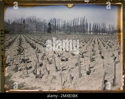 Blanquefort, Frankreich , 1920-1921 - Charente, Gironde, Basse - Pyrénées, Hautes Pyrénées - Fernand Cuville Stockfoto