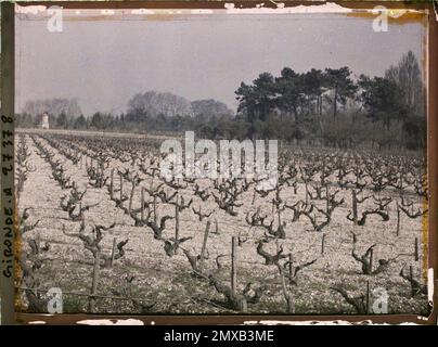 Blanquefort, Frankreich , 1920-1921 - Charente, Gironde, Basse - Pyrénées, Hautes Pyrénées - Fernand Cuville Stockfoto