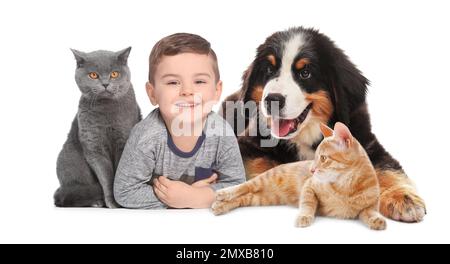 Süßes kleines Kind mit seinen Haustieren auf weißem Hintergrund. Bannerdesign Stockfoto