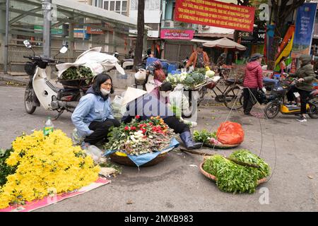 Hanoi, Vietnam, Januar 2023. Obst- und Gemüsehändler auf der Straße in der Altstadt im Stadtzentrum Stockfoto