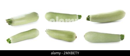 Set frischer reifer Zucchinis auf weißem Hintergrund. Bannerdesign Stockfoto