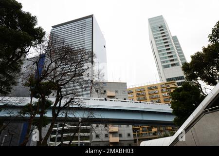 Neue Transit-Yurikamome-Linie, die Shimbashi nach Toyosu verbindet, über die künstliche Insel Odaiba in Tokio, Japan, Stockfoto