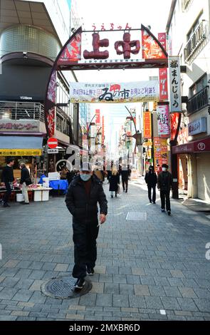 Ameya-Yokocho ist ein lebhafter Straßenmarkt, der entlang der Bahngleise zwischen dem JR-Bahnhof Ueno und dem Bahnhof Okachimachi, Tokio, Japan, verläuft. Stockfoto