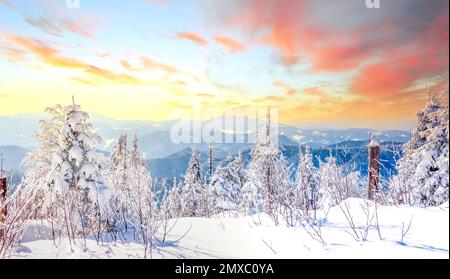 Winterlandschaft Sauerland, Deutschland Stockfoto