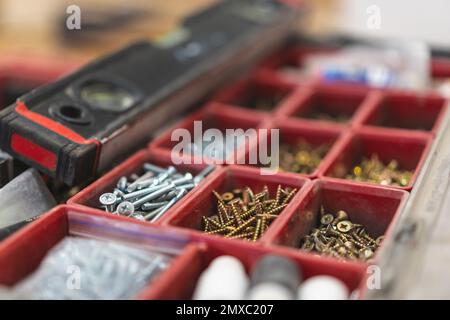 Viele verschiedene Schrauben im Organisator von Master for Work Stockfoto