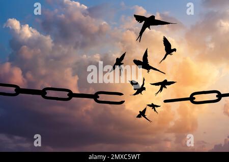 Freiheitskonzept. Silhouetten gebrochener Ketten und Vögel, die am blauen Himmel fliegen Stockfoto