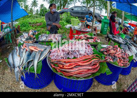 24. Januar 2023 - Chumphon Thailand - überfüllter Markt, auf dem Schlangen, Frösche und verschiedene Arten von Schnittfischen verkauft werden. Ein Verkäufer mit einer Maske hinter dem Stand. Stockfoto