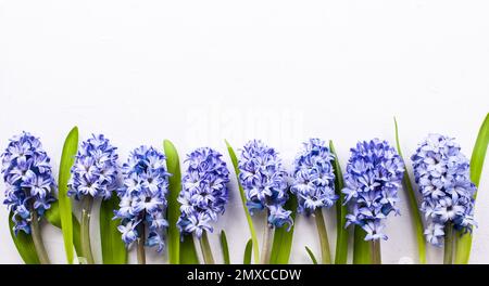 Blütenzusammensetzung mit Fliederhyazinthen. Frühlingsblumen auf weißem Hintergrund. Osterkonzept. Flach liegend, Draufsicht. Stockfoto