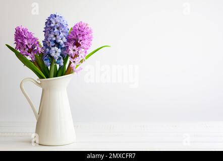 Blütenzusammensetzung mit lila und rosa Hyazinthen. Frühlingsblumen in Vase auf weißem Hintergrund. Stockfoto