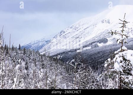 Eine Landschaft mit verschneiten Gletschern in der Resurrection Bay in Seward Alaska im Winter Stockfoto
