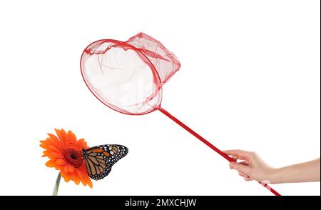 Frau fängt Schmetterling mit Netz auf weißem Hintergrund, Nahaufnahme Stockfoto