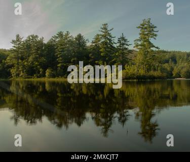 Ein wunderschöner See mit den Reflexionen grüner Bäume Stockfoto