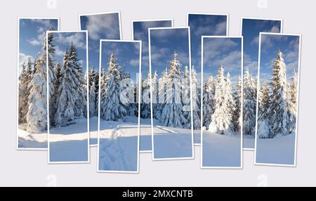 Isolierte 10-Bilder-Collage eines schneebedeckten Bergwaldes. Atemberaubende Winterszene der Karpaten. Modell eines modularen Fotos. Stockfoto