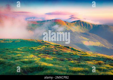 Weicher Nebel breitet sich auf den Bergkämmen und Tälern aus. Fantastischer Sommerblick auf die Karpaten, die Ukraine, Europa. Schönheit des Naturkonzepts im Hintergrund Stockfoto