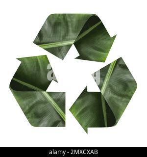 Recycling Symbol aus Blättern auf weißem Hintergrund Stockfoto