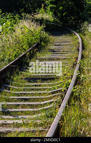Kontrastierende rostige Eisenbahn in grünem Gras überwuchert. Stockfoto