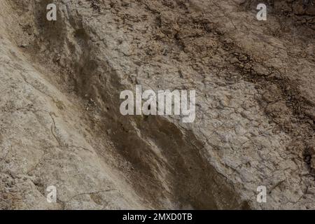 Verschmutzte, gewaschene Straße mit Wasserspuren im Frühling. Geländeeinsatz. Stockfoto