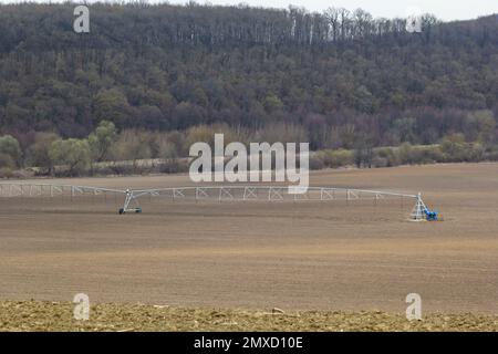 Maisfeld im Frühling mit Bewässerungssystem für die Wasserversorgung, Sprinkler spritzen Wasser in die Pflanzen. Stockfoto