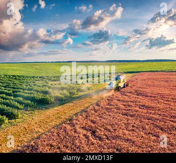 Wunderschöne Landschaft. Mähdrescher auf dem Weizenfeld. Sonniger Sommerblick von der fliegenden Drohne der Weizenernte. Wundervolle ländliche Szene Stockfoto