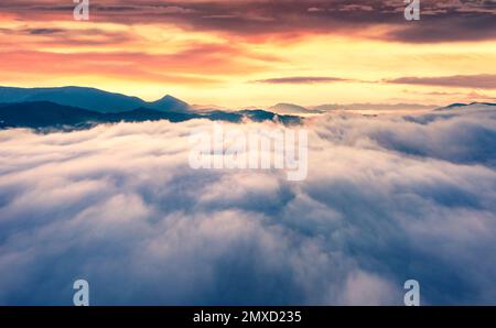 Neblige Sommerlandschaft. Fliegen über den Wolken mit der Drohne. Fesselnder Blick auf die Karpaten am Morgen mit dem Homiak-Berg im Hintergrund. Fabelhaft Stockfoto