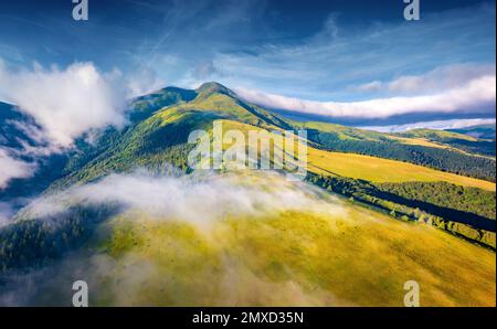 Landschaftsfotografie aus der Luft. Atemberaubender Blick von der fliegenden Drohne auf das Breska-Tal am Morgen. Unglaubliche Sommerszene der Karpaten, der Ukraine, Stockfoto