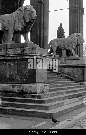 Die Löwen vor der Feldherrnhalle am Odeonsplatz, 1957. Die Löwen von Feldherrnhalle, engl. Field Marshals' Hall, am Odeonsplatz, 1957. Stockfoto