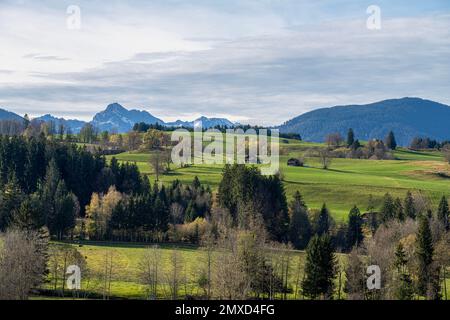 Hügelige Wiese und Waldlandschaft, Ammergaualpen im Hintergrund, Deutschland, Bayern, Saulgrub Stockfoto