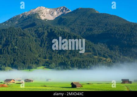 Erdnebel über Hochmoorwiesen vor dem Berg Daniel, Österreich, Tirol, Ehrwald Stockfoto