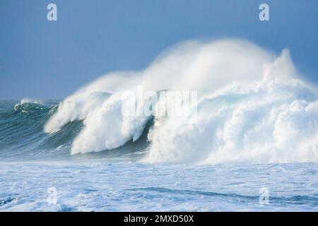 Große Welle, die auf dem offenen Meer vor der Südküste Englands, Großbritanniens, Englands, der Grafschaft Dorset, West Lulworth aufbrach Stockfoto