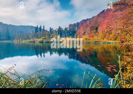 Wunderschöne Herbstlandschaft. Ruhige Morgenszene im Nationalpark Plitvice. Herrlicher Herbstblick auf farbenfrohen Wald mit reinem Wasserfall, Kroatien, EUR Stockfoto