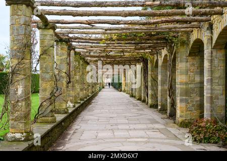 Pergola Walkway, Hever Castle, Kent, Großbritannien Stockfoto