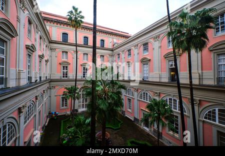 Blick auf einen der Innenhöfe mit tropischen Palmen. Im Archäologischen Museum, Museo Archeologico Nazionale di Napoli, in Neapel, Italien. Stockfoto