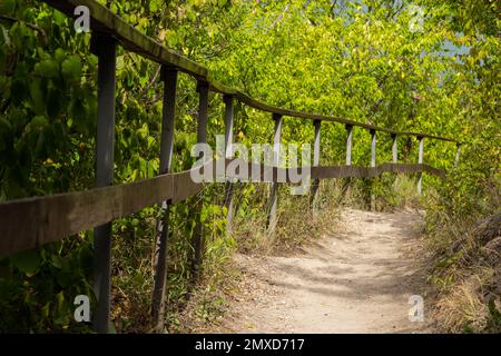 Langer Pfad mit Schottertreppen und Holzgeländer für Touristen in sonnigen Sommerwäldern. Leerer Wanderweg im Naturschutzgebiet Stockfoto