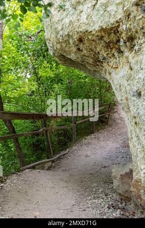 Langer Pfad mit Schottertreppen und Holzgeländer für Touristen in sonnigen Sommerwäldern. Leerer Wanderweg im Naturschutzgebiet Stockfoto