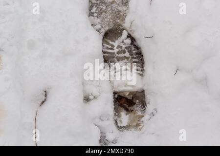 Erhöhte Sicht auf den Fußabdruck auf schneebedecktem Boden. Stockfoto