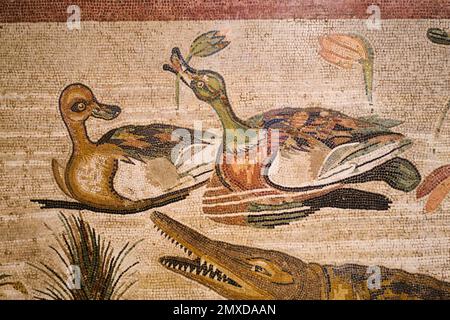 Kunstwerke von ein paar Enten, die eine Blume mit einem Krokodil essen. Ein altes Fliesenmosaik im Archäologischen Museum, Museo Archeologico Naziona Stockfoto