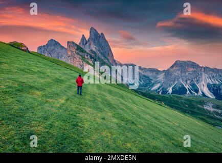 Touristische Spaziergänge auf einer grünen Wiese bei Sonnenuntergang mit Furchetta-Gipfel im Hintergrund. Sommerszene von Funes Valley. Fantastischer abendlicher Blick auf Puez Odle National Pa Stockfoto