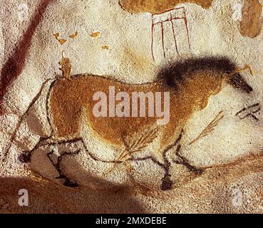 Chinesisches Pferd. Höhlenmalerei von Lascaux. Museum: Centre national de Préhistoire (Périgueux). Autor: Kunst des Oberen Paläolithikums. Stockfoto