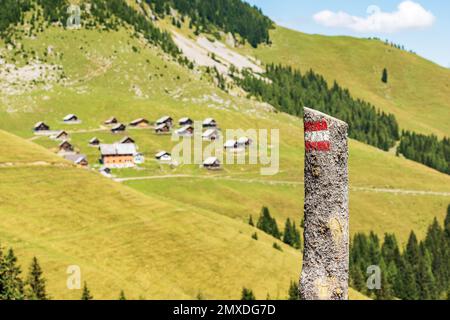 Rot-weißes Wegweiser (Wegweiser) auf einem Kiefernstumpf, mit verschwommener Berglandschaft im Hintergrund. Alpen, Kärnten, Österreich. Stockfoto