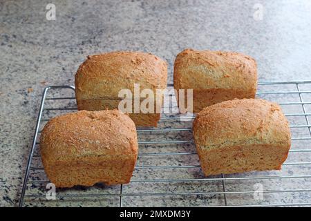 Heißes, frisch gebackenes Brot auf einer Kühlschale. Stockfoto