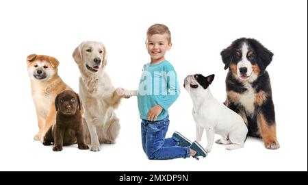 Süßes kleines Kind mit seinen Haustieren auf weißem Hintergrund. Bannerdesign Stockfoto