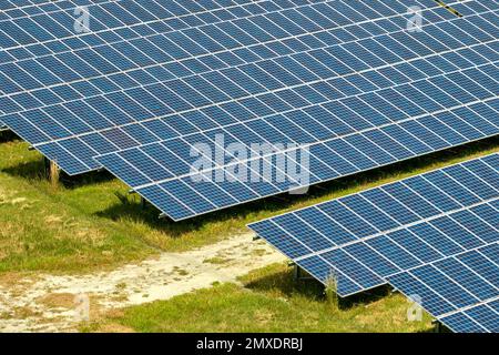 Luftaufnahme eines großen nachhaltigen Elektrokraftwerks mit vielen Reihen von Photovoltaik-Solarzellen zur Erzeugung sauberer elektrischer Energie. Erneuerbar Stockfoto