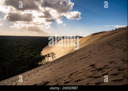 Die Düne du Pilat an der Atlantikküste von Nouvelle-Aquitaine ist mit 103 Metern der höchste Sandberg Europas im Südwesten Frankreichs Stockfoto