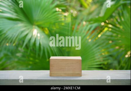 Leere Holzpodium Beton Tischtextur im tropischen Outdoor Naturgarten Wald grüne Pflanze Sonnenlicht Dschungel Hintergrund mit space.organic hea Stockfoto