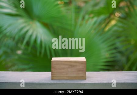 Leere Holzpodium Beton Tischtextur im tropischen Outdoor Naturgarten Wald grüne Pflanze Sonnenlicht Dschungel Hintergrund mit space.organic hea Stockfoto