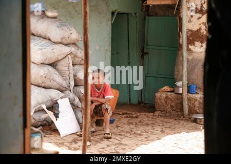 Ich studierte Tischlerei in Finnland und wurde gebeten, nach Äthiopien zu gehen. Alle Porträts und die Menschen sind das Personal der Fabrik. Nette Leute und die Sonne scheint viel. Holzbearbeitung in Afrika Stockfoto
