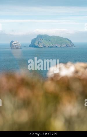 Ein weiter Blick auf Boreray, Stac Lee, und Stac an Armin, eine felsige Insel und zwei Seebecken, die zu Schottlands St. Kilda Inseln gehören. Stockfoto