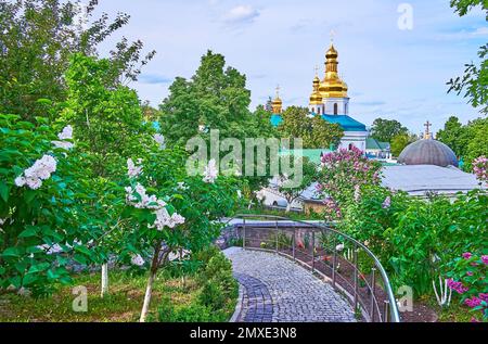 Machen Sie einen Spaziergang durch den blühenden Fliedergarten des Klosters Kiew Pechersk Lavra Cave, Kiew, Ukraine Stockfoto